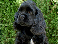 Vicki 3 month